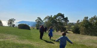 Estudio revela brechas en el conocimiento de la biodiversidad en la Provincia de Concepción Estudio revela brechas en el conocimiento de la biodiversidad en la Provincia de Concepción