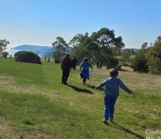 Estudio revela brechas en el conocimiento de la biodiversidad en la Provincia de Concepción