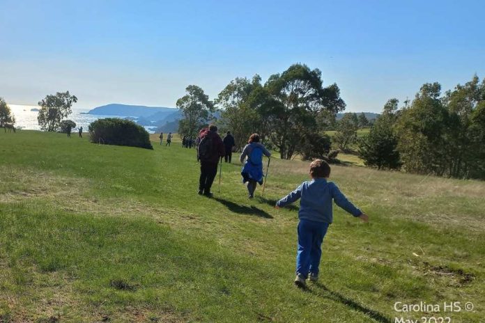 Estudio revela brechas en el conocimiento de la biodiversidad en la Provincia de Concepción
