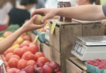 Inflación da un respiro en febrero: Expertos adelantan efectos en el bolsillo de los chilenos