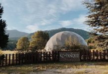 Ko-Panqui, una década de experimentación, mirada crítica y creación interdisciplinar