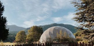 Ko-Panqui, una década de experimentación, mirada crítica y creación interdisciplinar