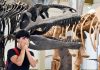 Más de un millón de personas han visitado “Dinosaurios del Sur del Mundo” en el Museo Nacional de Historia Natural