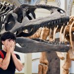 Más de un millón de personas han visitado “Dinosaurios del Sur del Mundo” en el Museo Nacional de Historia Natural