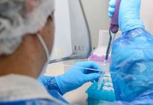 UCSC aumenta adjudicación de Becas de Doctorado Nacional ANID 2026 y alcanza 17 beneficiarios