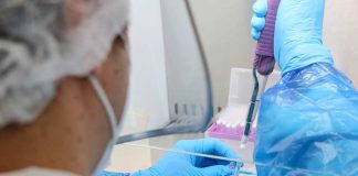 UCSC aumenta adjudicación de Becas de Doctorado Nacional ANID 2026 y alcanza 17 beneficiarios