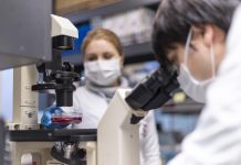 UTalca destaca a nivel nacional con alta adjudicación de becas de doctorado UTalca destaca a nivel nacional con alta adjudicación de becas de doctorado