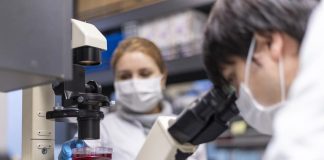 UTalca destaca a nivel nacional con alta adjudicación de becas de doctorado