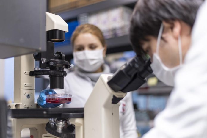 UTalca destaca a nivel nacional con alta adjudicación de becas de doctorado UTalca destaca a nivel nacional con alta adjudicación de becas de doctorado