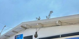 Water is Life impulsa en México proyectos para concientizar sobre el acceso y uso del agua potable