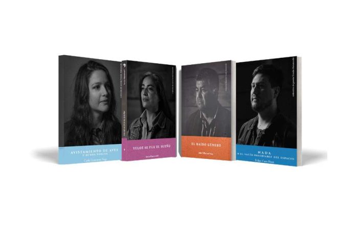 De la invisibilidad a la publicación: cómo el concurso Yosuke Kuramochi ha marcado a poetas del sur de Chile