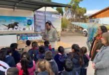 Este 2026 se cumplen 20 años: Postula a los Fondos Concursables Tinguiririca Participa