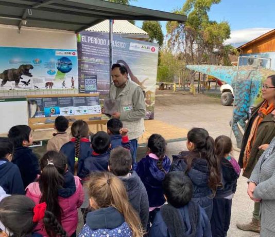 Este 2026 se cumplen 20 años: Postula a los Fondos Concursables Tinguiririca Participa