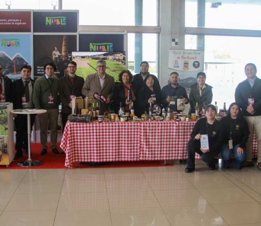 FACEA UCSC se adjudica proyecto que fortalece el Turismo MICE y el Enoturismo de Ñuble