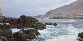 La antigua autopista del huiro: el rastro de los bosques sumergidos que acompañaron el poblamiento de América del Sur