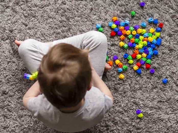 Integración de personas autistas: desafíos y materias pendientes