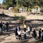 Las ventajas de que niños y niñas salgan de la sala de clases para aprender a cuidar su entorno y desarrollar habilidades socioemocionales