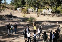 Las ventajas de que niños y niñas salgan de la sala de clases para aprender a cuidar su entorno y desarrollar habilidades socioemocionales