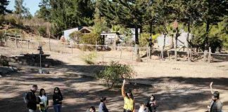 Las ventajas de que niños y niñas salgan de la sala de clases para aprender a cuidar su entorno y desarrollar habilidades socioemocionales