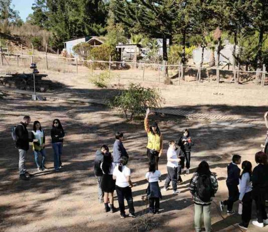 Las ventajas de que niños y niñas salgan de la sala de clases para aprender a cuidar su entorno y desarrollar habilidades socioemocionales