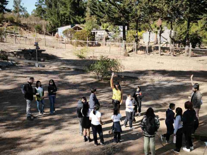 Las ventajas de que niños y niñas salgan de la sala de clases para aprender a cuidar su entorno y desarrollar habilidades socioemocionales