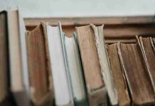 Lecturas que se renuevan: Iniciativa permite a los lectores vender libros usados y descubrir nuevas historias sin salir de casa