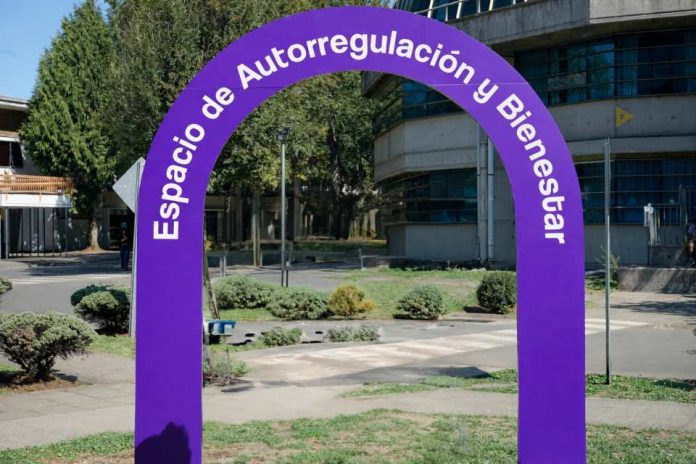 Lo que es bueno para uno, es bueno para todas y todos: UCT conmemora el Día Mundial de Concientización del Autismo