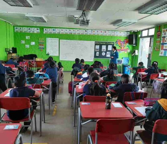 Mecanismo Pago por resultados mejoró la comprensión lectora de alumnos de 1er básico