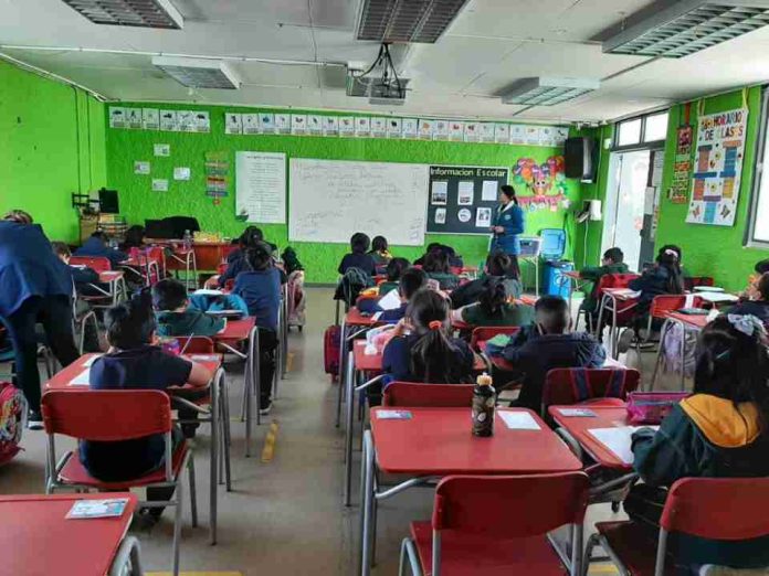 Mecanismo Pago por resultados mejoró la comprensión lectora de alumnos de 1er básico