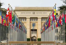 No sólo quién, sino para qué