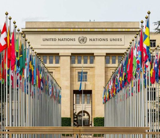 No sólo quién, sino para qué