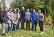 Pulso Austral y Corfo Aysén abren postulaciones a Escuela de Resiliencia Creativa