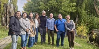 Pulso Austral y Corfo Aysén abren postulaciones a Escuela de Resiliencia Creativa