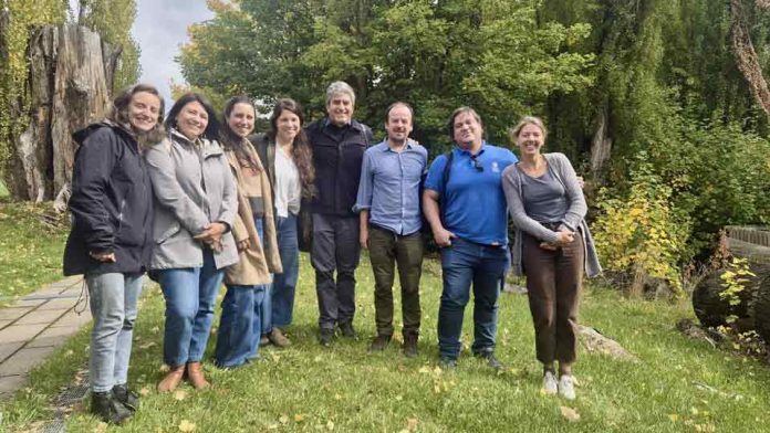 Pulso Austral y Corfo Aysén abren postulaciones a Escuela de Resiliencia Creativa