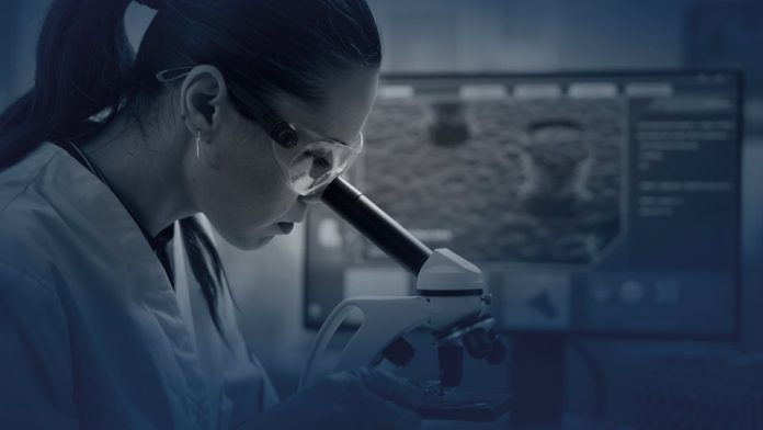 Se abren las postulaciones para el premio “For Women in Science”