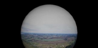 “Selva fría” llega a la Sala de Exposiciones San Francisco UCT como primera muestra ganadora de Convocatoria 2026