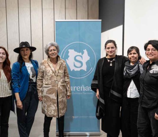 Sureñas: La escritura de mujeres se expande en La Araucanía con nuevo ciclo de proyecto regional