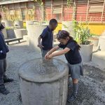 Transformar el patio escolar en un pequeño bosque urbano: la apuesta que mejora el aprendizaje