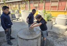 Transformar el patio escolar en un pequeño bosque urbano: la apuesta que mejora el aprendizaje