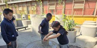 Transformar el patio escolar en un pequeño bosque urbano: la apuesta que mejora el aprendizaje
