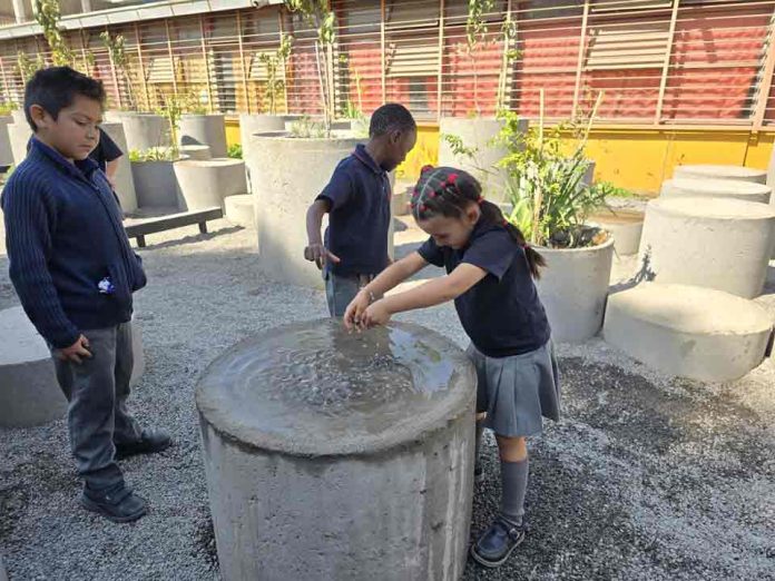 Transformar el patio escolar en un pequeño bosque urbano: la apuesta que mejora el aprendizaje Transformar el patio escolar en un pequeño bosque urbano: la apuesta que mejora el aprendizaje