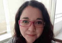 Violencia escolar: el problema no está solo en la sala de clases