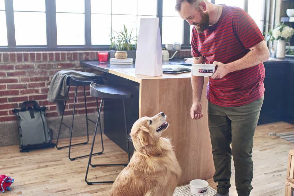 Bienestar y nutrición sostenible con sello veterinario