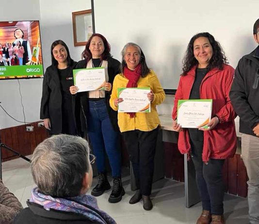 Lideresas Ñuble finaliza su proceso formativo fortaleciendo emprendimientos femeninos con foco en economía circular, reciclaje y sostenibilidad Lideresas Ñuble finaliza su proceso formativo fortaleciendo emprendimientos femeninos con foco en economía circular, reciclaje y sostenibilidad