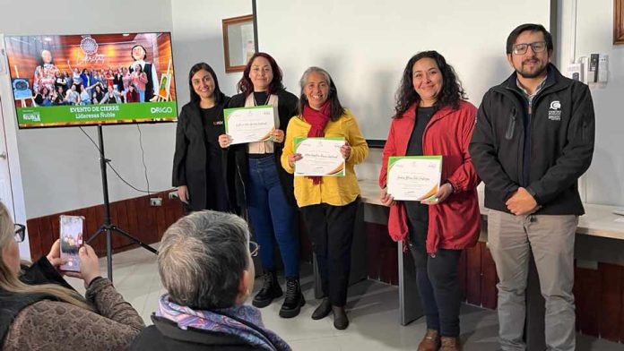 Lideresas Ñuble finaliza su proceso formativo fortaleciendo emprendimientos femeninos con foco en economía circular, reciclaje y sostenibilidad Lideresas Ñuble finaliza su proceso formativo fortaleciendo emprendimientos femeninos con foco en economía circular, reciclaje y sostenibilidad