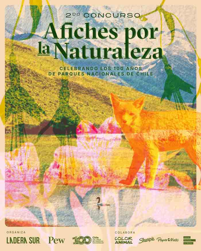 ¡Atención! Ya están disponibles las bases del 2do Concurso de Afiches por la Naturaleza de Ladera Sur, centrados en los 100 años de parques nacionales en Chile