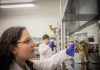 Académicos de la UACh destacan en ranking internacional de Research.com 2026
