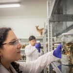 Académicos de la UACh destacan en ranking internacional de Research.com 2026