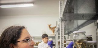 Académicos de la UACh destacan en ranking internacional de Research.com 2026