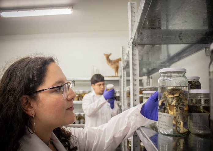 Académicos de la UACh destacan en ranking internacional de Research.com 2026 Académicos de la UACh destacan en ranking internacional de Research.com 2026
